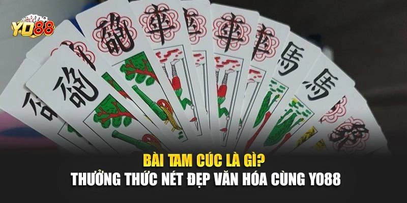 Bài Tam Cúc Là Gì? Thưởng Thức Nét Đẹp Văn Hóa Cùng YO88