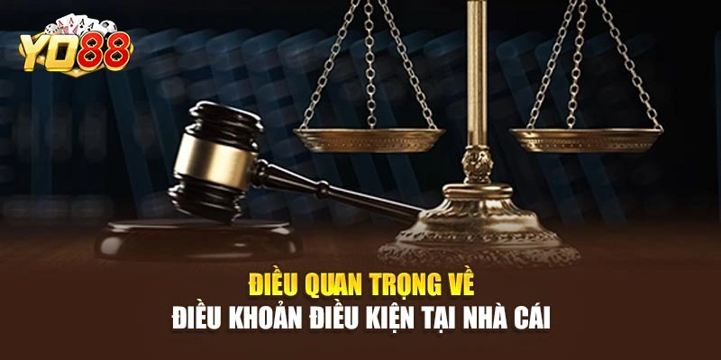 Điều quan trọng về điều khoản điều kiện tại nhà cái 