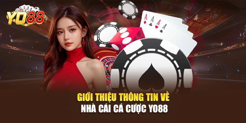 Giới thiệu thông tin về nhà cái cá cược YO88