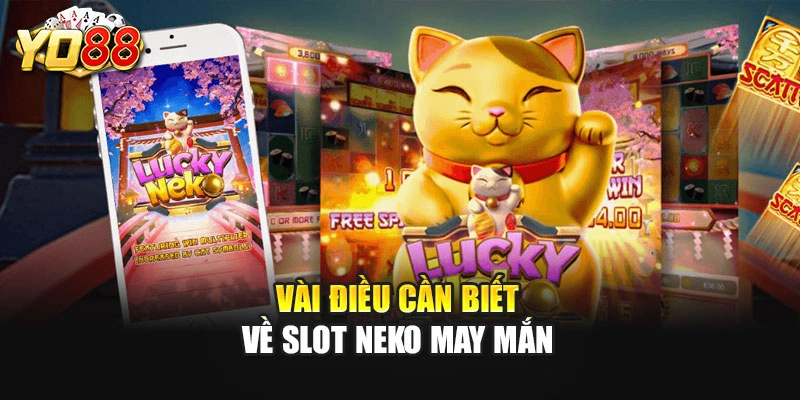Vài điều cần biết về slot Neko May Mắn