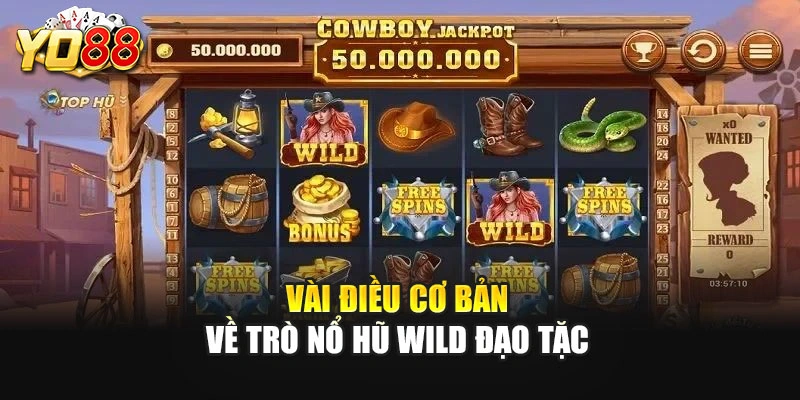 Vài điều cơ bản về trò nổ hũ Wild Đạo Tặc