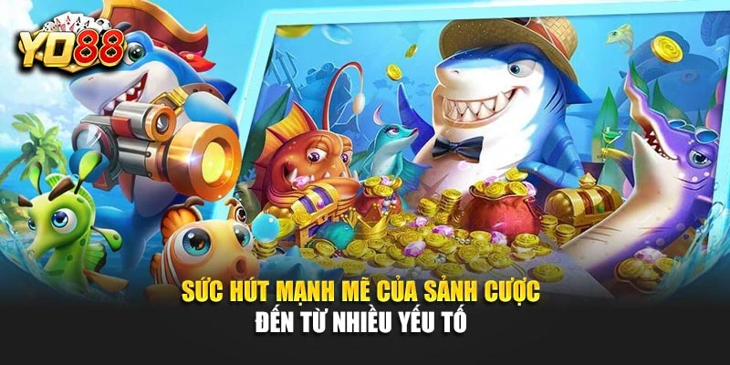 Sức hút mạnh mẽ của sảnh cược đến từ nhiều yếu tố